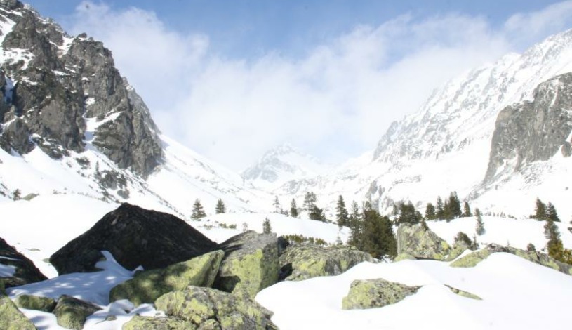 Hotel CROCUS **** Vysoké Tatry
